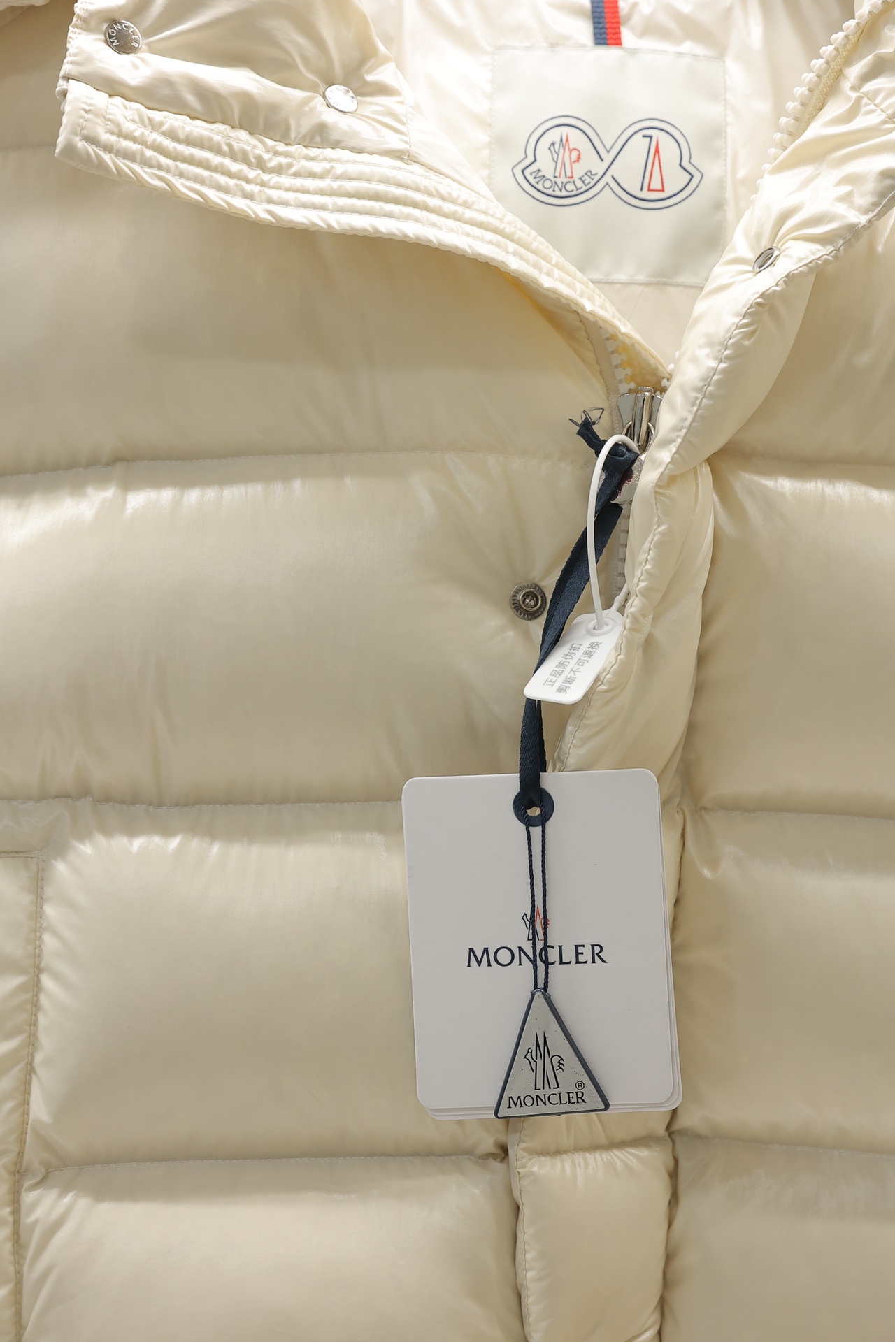 Moncler Down Jackets